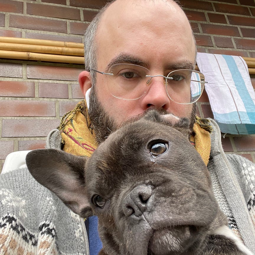 Kostenloses Stock Foto zu @draussen, außeneinstellung, elegant